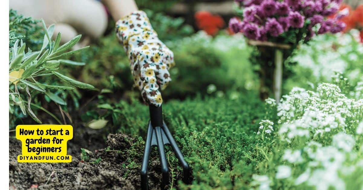 How to start a garden for beginners, a simple guide for designing and planting a flower garden that is easy to care for.