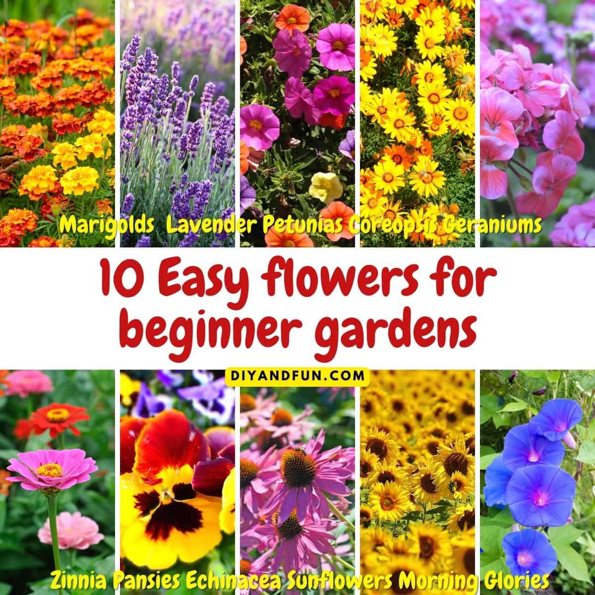 How to start a garden for beginners, a simple guide for designing and planting a flower garden that is easy to care for.