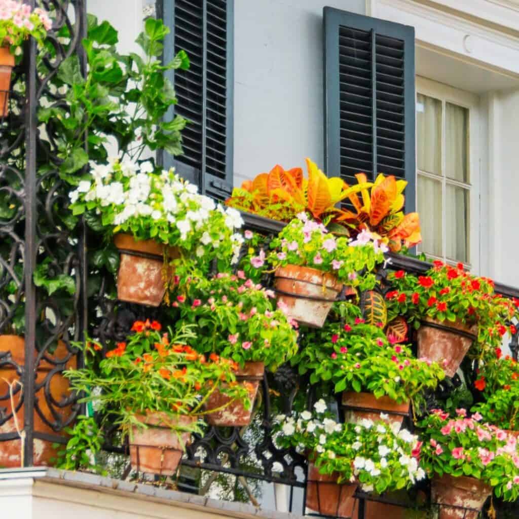 How to Make a Balcony Garden, a simple guide for making an attractive garden in a small space such as a balcony.