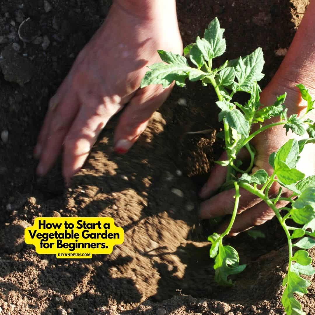 How to Start a Vegetable Garden for Beginners , a simple guide for designing and planting a vegetable garden that is easy to care for.