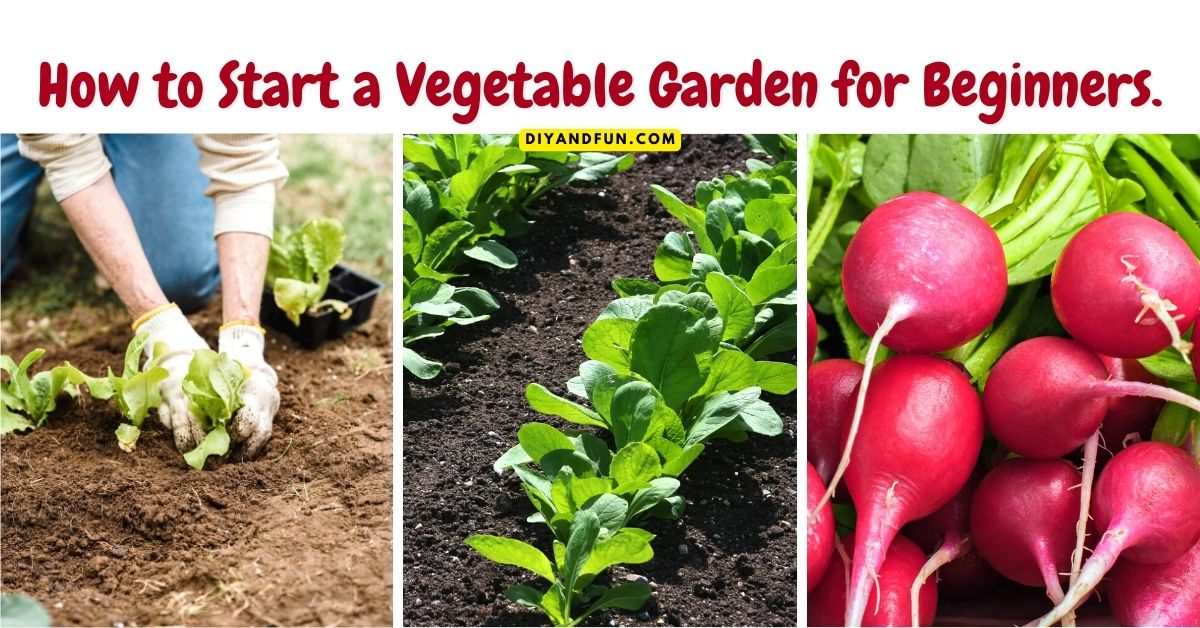 How to Start a Vegetable Garden for Beginners , a simple guide for designing and planting a vegetable garden that is easy to care for.