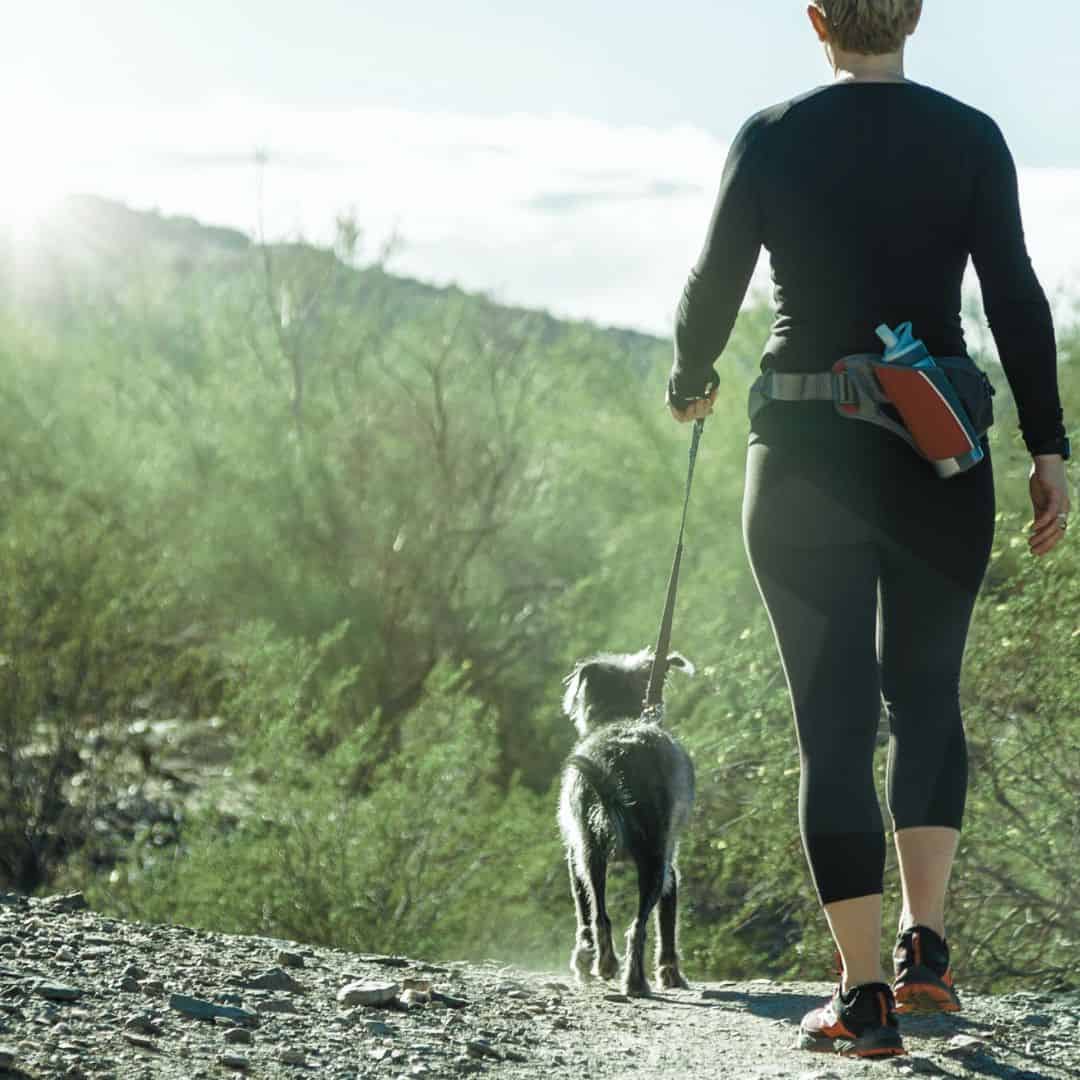 How to Hike with a Dog, a simple guide for how to safely hike with dogs of most ages. Includes what to pack with you.