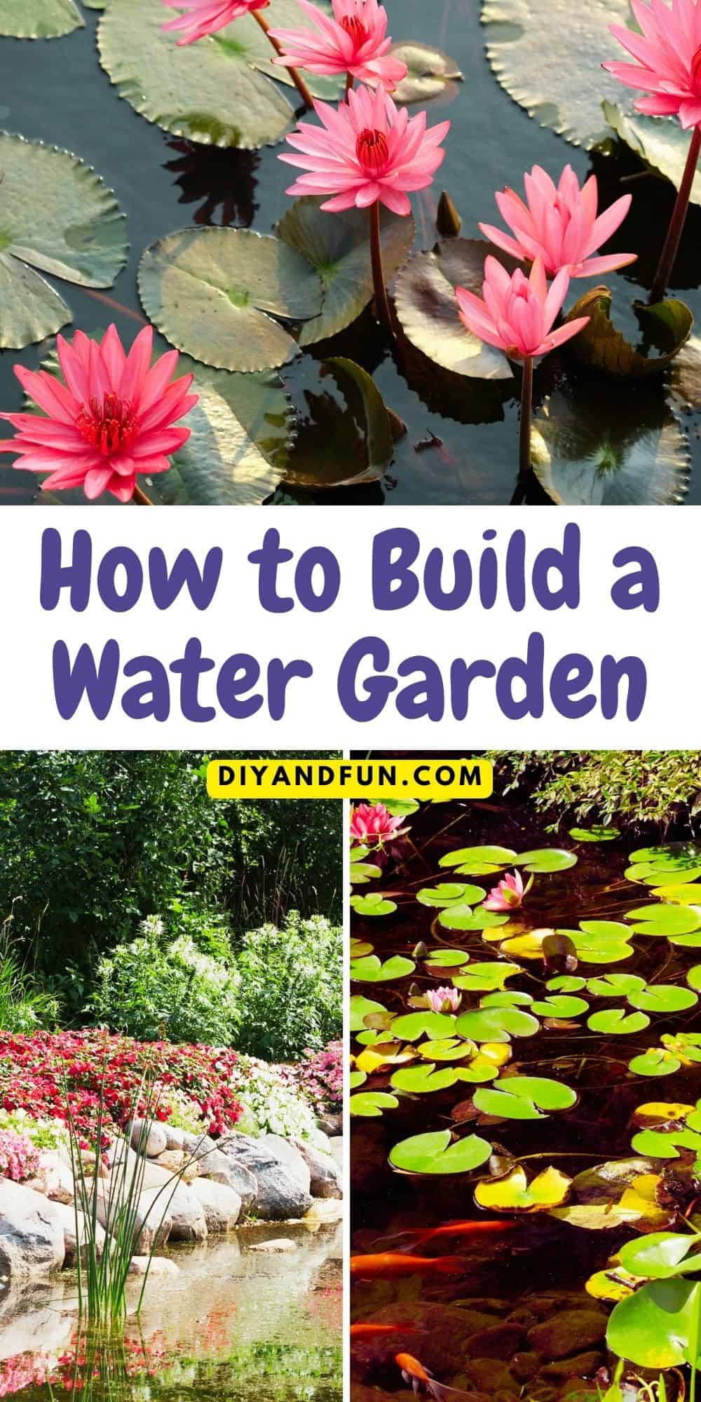 How to Build a Water Garden, a simple guide that including what plants to place in your backyard garden with water.