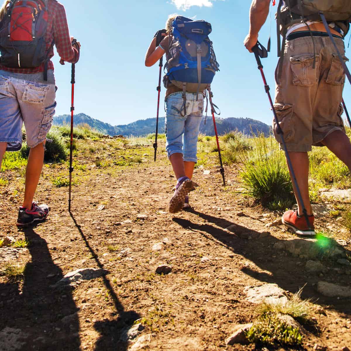 How to Plan a Family Hiking Trip, a simple guide for planning a hiking trip with children of most ages. Includes day trips and vacations.