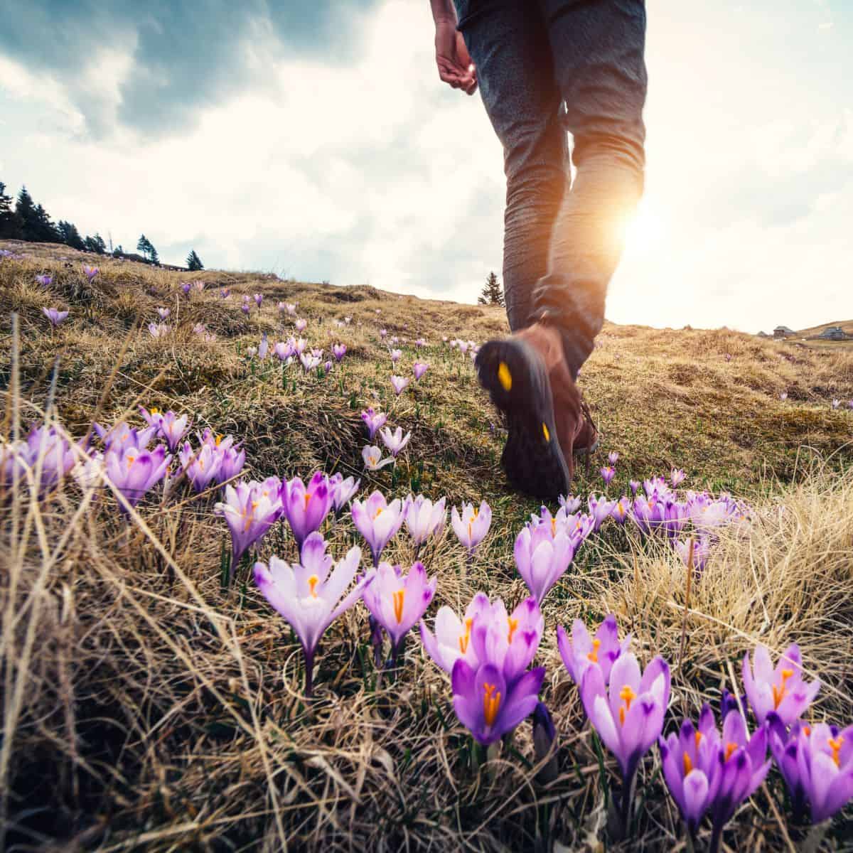 How to Plan a Family Hiking Trip, a simple guide for planning a hiking trip with children of most ages. Includes day trips and vacations.