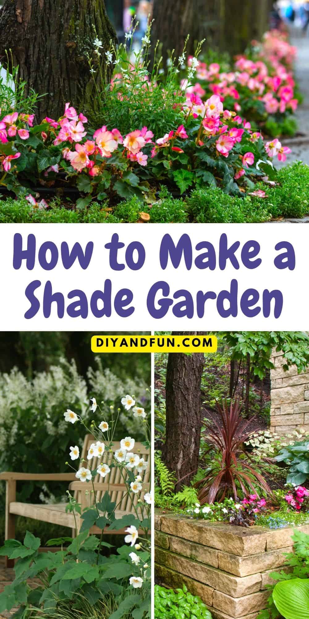 How to Make a Shade Garden, a simple guide for creating a garden with limited light, including shade-friendly plants and flowers. 