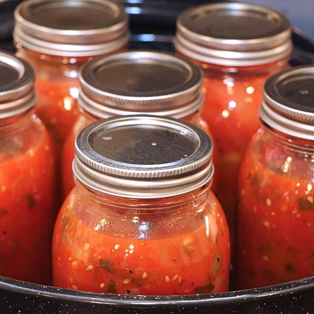 How to Preserve Tomatoes to Enjoy Year Round, a simple guide featuring popular methods such as canning, freezing, and drying.