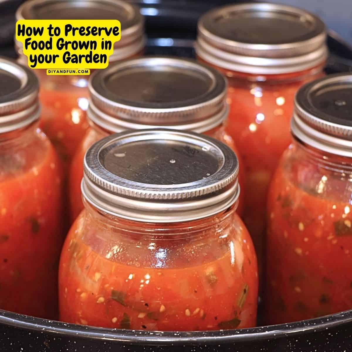 How to Preserve Food Grown in your Garden, includes tips on canning, freezing, and drying food. Enjoy your homegrown food all year long.
