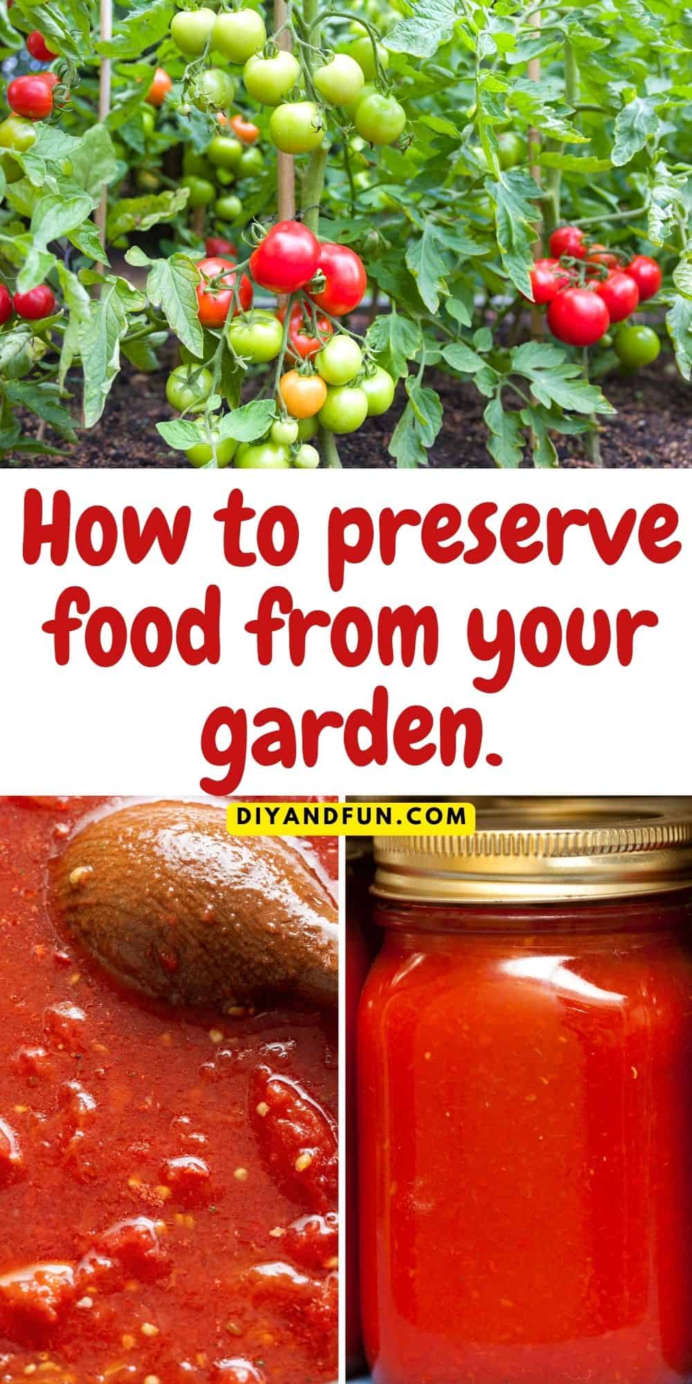 How to Preserve Food Grown in your Garden, includes tips on canning, freezing, and drying food. Enjoy your homegrown food all year long.