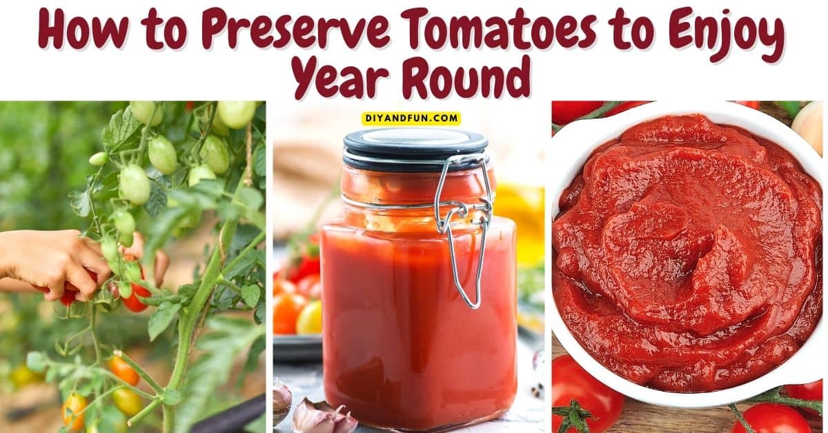 How to Preserve Tomatoes to Enjoy Year Round