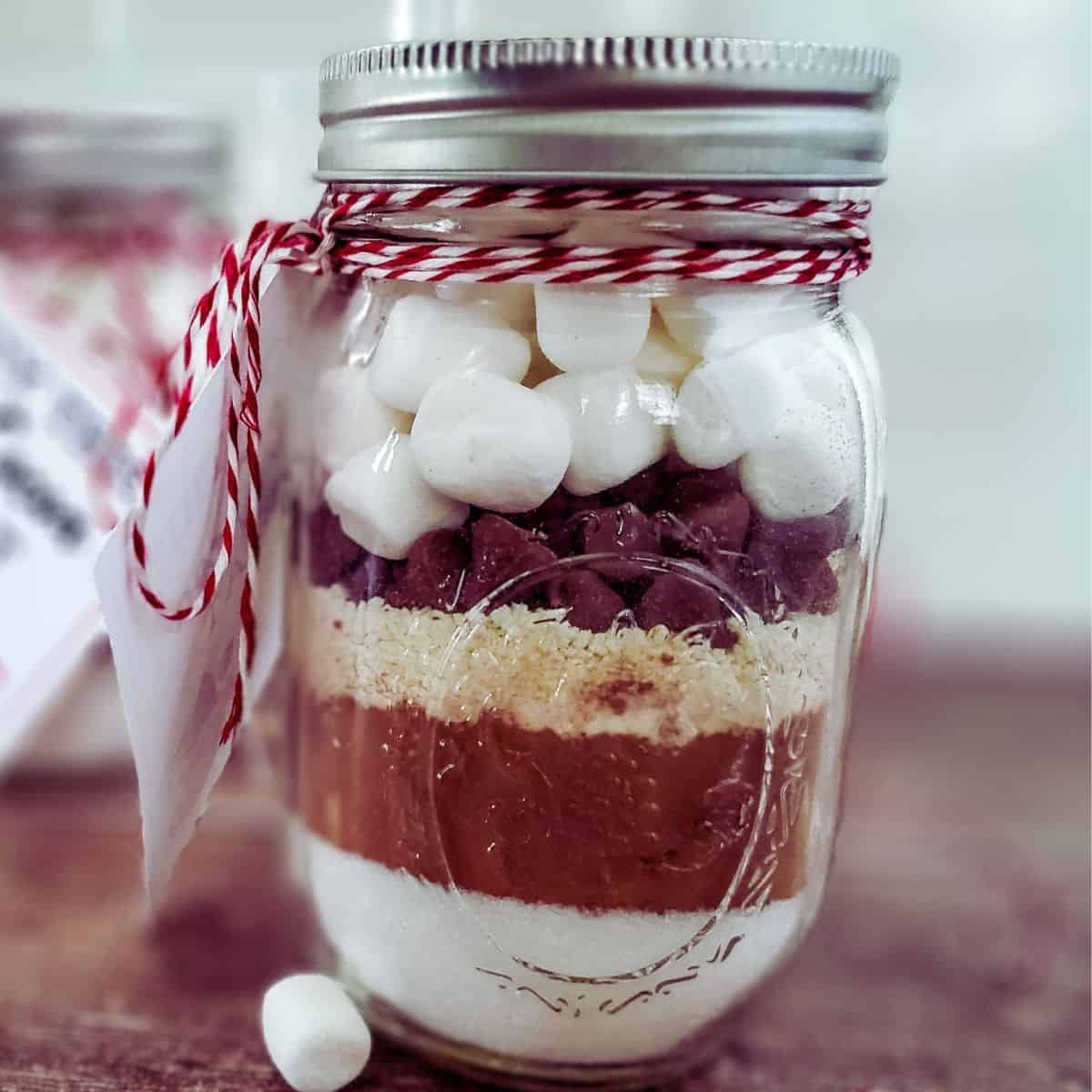Hot Cocoa in a Jar, a simple and delicious holiday or Christmas gift idea featuring dry ingredients for making the best cocoa drink. 
