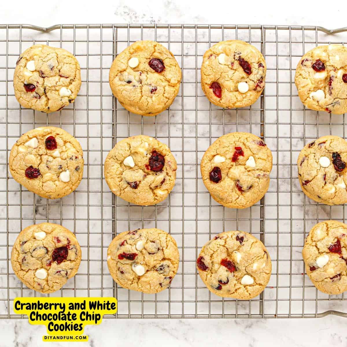 Cranberry and White Chocolate Chip Cookies, a delicious dessert or snack recipe made with real cranberries. Perfect holiday cookie idea! 
