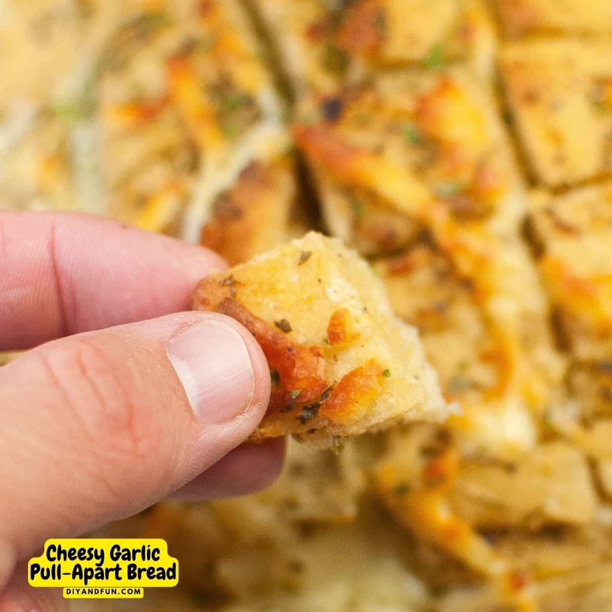 Cheesy Garlic Pull-Apart Bread Recipe, a delicious and easy appetizer recipe featuring gooey warm cheese and fresh garlic. Cheesy Garlic Pull-Apart Bread Recipe, a delicious and easy appetizer recipe featuring gooey warm cheese and fresh garlic.