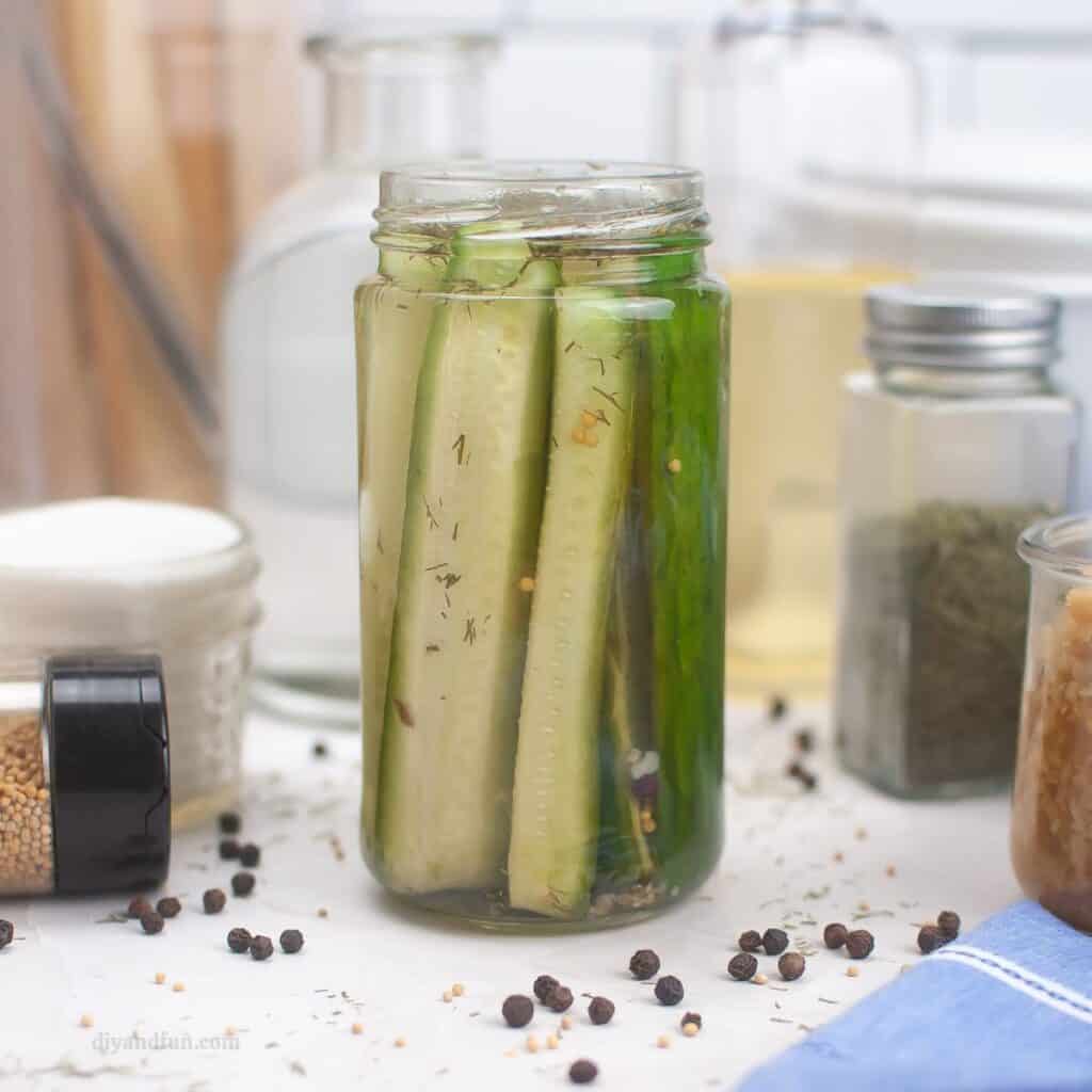 Easy Homemade Pickles- Refrigerator and Canned - DIY and Fun