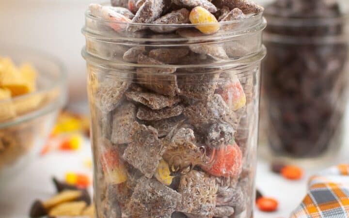 Fall Puppy Chow Snack Mix