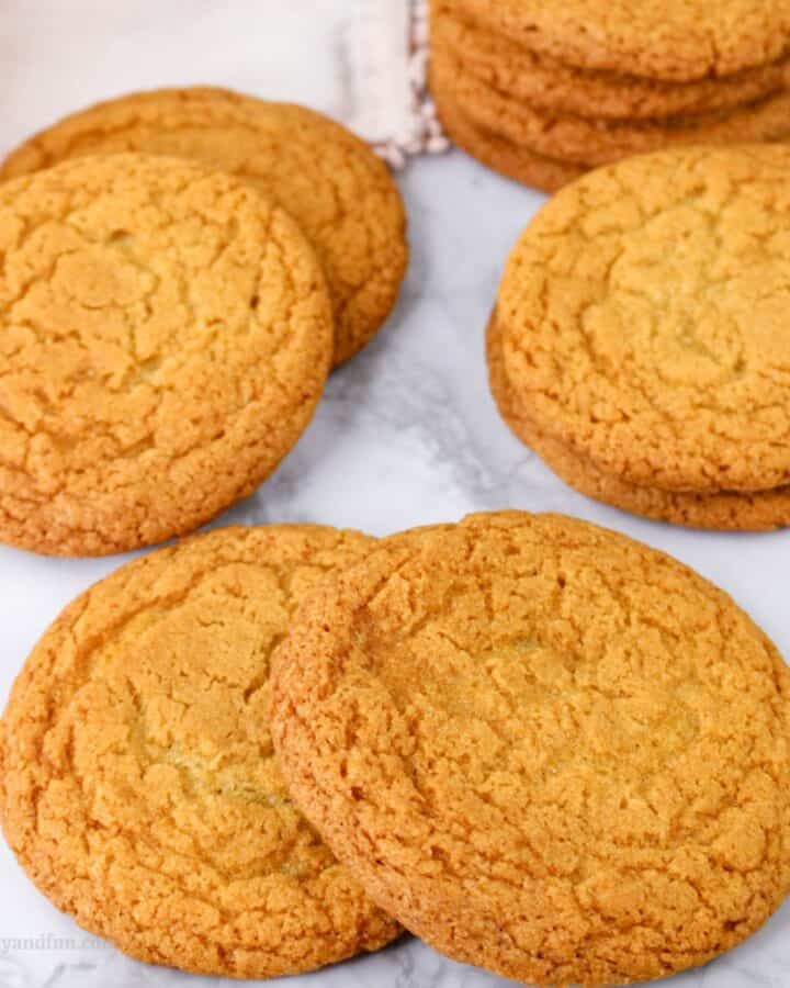 Chewy Chocolate Chipless Cookies