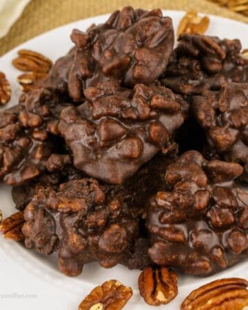 Chocolate Praline Candy