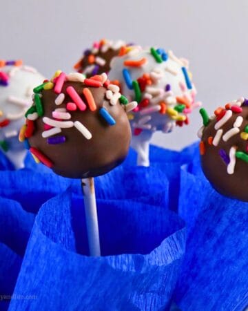 Fudgy Brownie Cake Pops