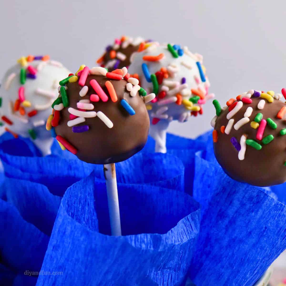 Fudgy Brownie Cake Pops are the ultimate treat. Easy recipe for truffle-like bites combine rich chocolate brownies with a snappy candy shell. Fudgy Brownie Cake Pops are the ultimate treat. Easy recipe for truffle-like bites combine rich chocolate brownies with a snappy candy shell.
