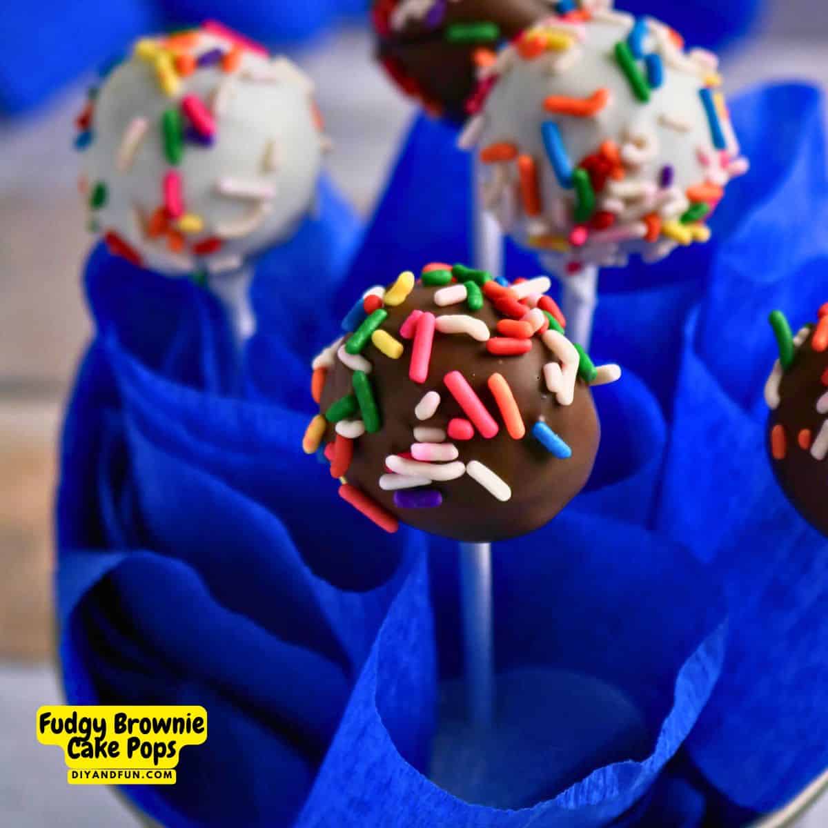 Fudgy Brownie Cake Pops are the ultimate treat. Easy recipe for truffle-like bites combine rich chocolate brownies with a snappy candy shell. Fudgy Brownie Cake Pops are the ultimate treat. Easy recipe for truffle-like bites combine rich chocolate brownies with a snappy candy shell.