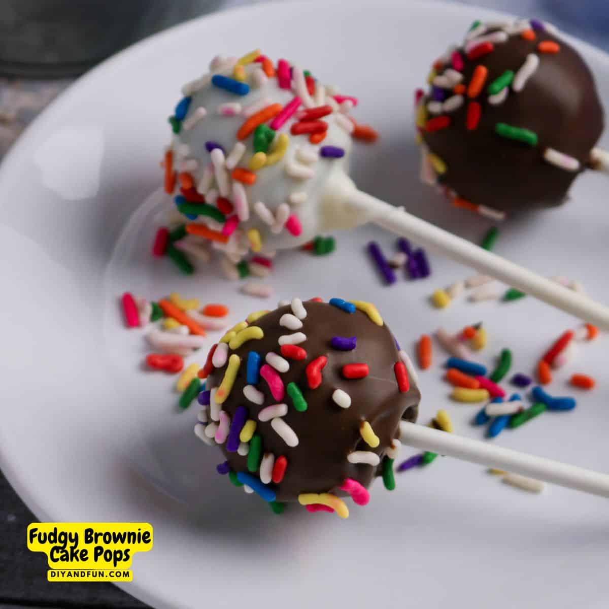 Fudgy Brownie Cake Pops are the ultimate treat. Easy recipe for truffle-like bites combine rich chocolate brownies with a snappy candy shell. Fudgy Brownie Cake Pops are the ultimate treat. Easy recipe for truffle-like bites combine rich chocolate brownies with a snappy candy shell.