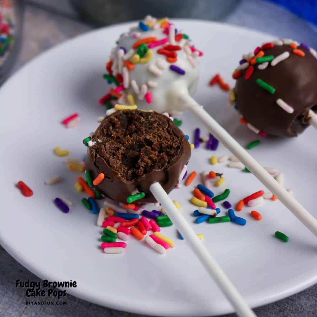 Fudgy Brownie Cake Pops are the ultimate treat. Easy recipe for truffle-like bites combine rich chocolate brownies with a snappy candy shell. Fudgy Brownie Cake Pops are the ultimate treat. Easy recipe for truffle-like bites combine rich chocolate brownies with a snappy candy shell.