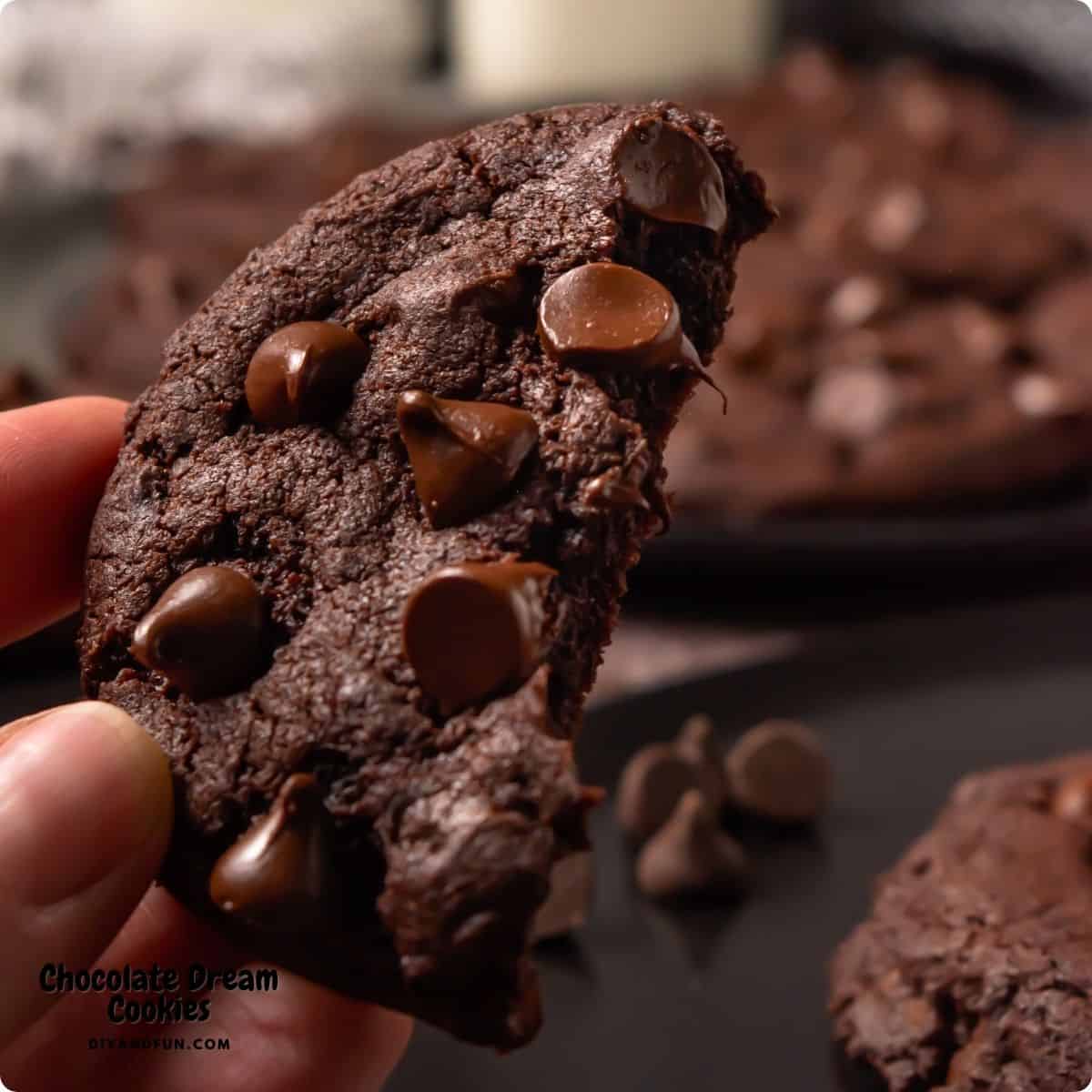 Chocolate Dream Cookies Recipe, rich and fudgy chocolate chocolate chip cookies that are inspired by the Crumbl cookie. Chocolate Dream Cookies Recipe, rich and fudgy chocolate chocolate chip cookies that are inspired by the Crumbl cookie.
