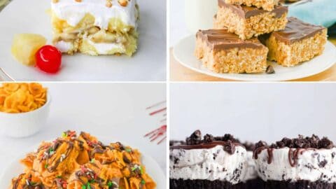 Craving something sweet? Try these 12 easy no-bake desserts you can make in 20 minutes or less. Quick, simple, and perfect for any occasion.