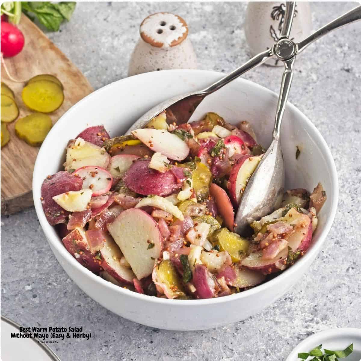 The Best Warm Potato Salad Without Mayo. Easy and Herby side dish perfect for BBQs, picnics, and weeknight dinners. Vegan, Gluten Free, Mediterranean Diet Friendly. The Best Warm Potato Salad Without Mayo. Easy and Herby side dish perfect for BBQs, picnics, and weeknight dinners. Vegan, Gluten Free, Mediterranean Diet Friendly.