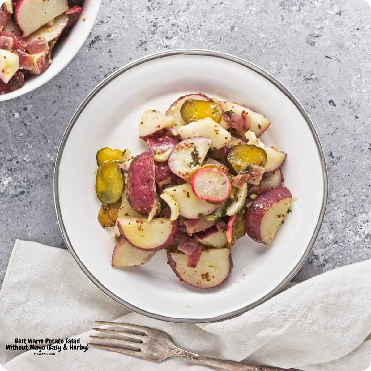 The Best Warm Potato Salad Without Mayo. Easy and Herby side dish perfect for BBQs, picnics, and weeknight dinners. Vegan, Gluten Free, Mediterranean Diet Friendly. The Best Warm Potato Salad Without Mayo. Easy and Herby side dish perfect for BBQs, picnics, and weeknight dinners. Vegan, Gluten Free, Mediterranean Diet Friendly.
