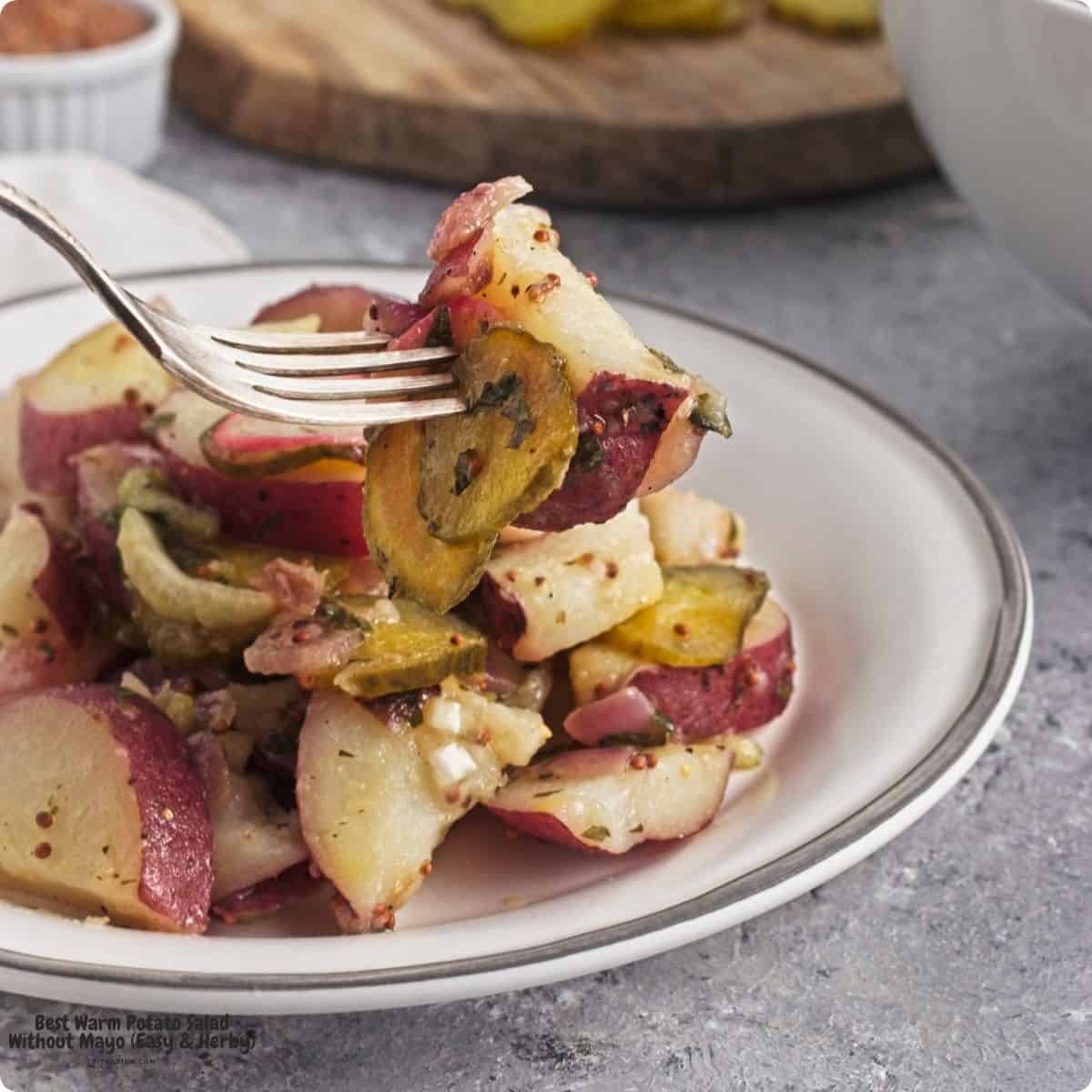 The Best Warm Potato Salad Without Mayo. Easy and Herby side dish perfect for BBQs, picnics, and weeknight dinners. Vegan, Gluten Free, Mediterranean Diet Friendly. The Best Warm Potato Salad Without Mayo. Easy and Herby side dish perfect for BBQs, picnics, and weeknight dinners. Vegan, Gluten Free, Mediterranean Diet Friendly.