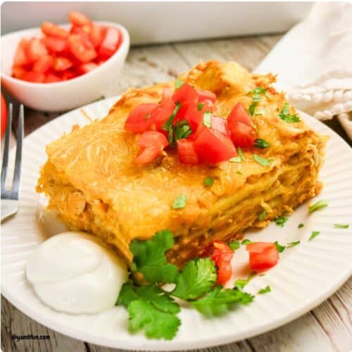Easy Chicken Enchilada Lasagna (Cheesy & Family-Friendly)