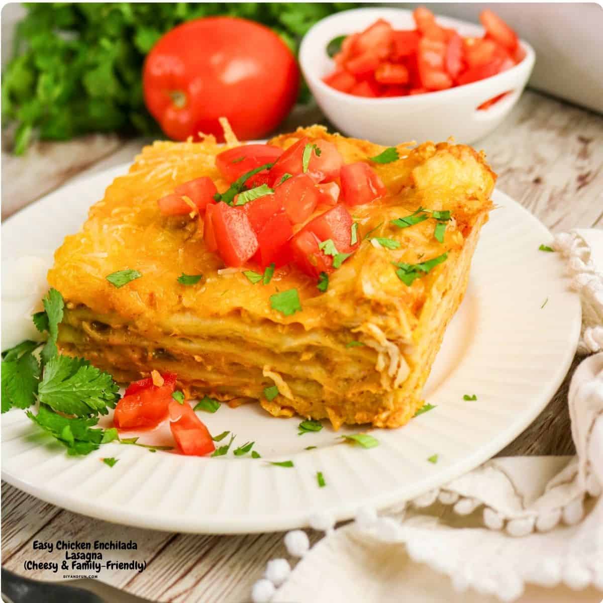 Easy Chicken Enchilada Lasagna is a cheesy, layered Tex-Mex casserole made with shredded chicken, enchilada sauce, tortillas, and creamy seasoned filling. Perfect for busy weeknights, potlucks, or family dinners. Easy Chicken Enchilada Lasagna is a cheesy, layered Tex-Mex casserole made with shredded chicken, enchilada sauce, tortillas, and creamy seasoned filling. Perfect for busy weeknights, potlucks, or family dinners.