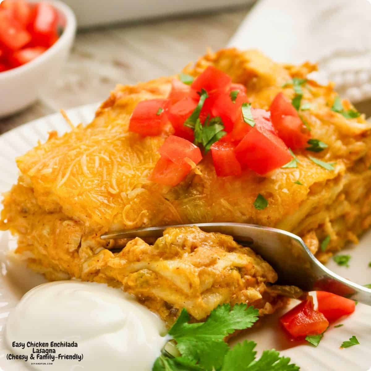 Easy Chicken Enchilada Lasagna is a cheesy, layered Tex-Mex casserole made with shredded chicken, enchilada sauce, tortillas, and creamy seasoned filling. Perfect for busy weeknights, potlucks, or family dinners. Easy Chicken Enchilada Lasagna is a cheesy, layered Tex-Mex casserole made with shredded chicken, enchilada sauce, tortillas, and creamy seasoned filling. Perfect for busy weeknights, potlucks, or family dinners.