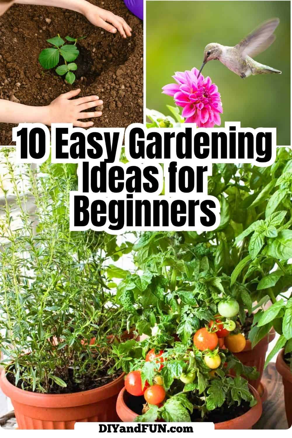 Looking for easy gardening ideas for beginners? These simple garden projects, beginner-friendly plants, and small-space gardening tips make it easy to start growing with confidence.