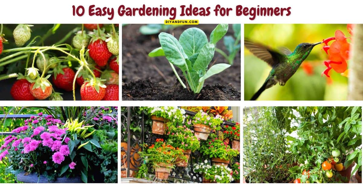 10 Easy Gardening Ideas for Beginners, from simple projects, beginner-friendly plants, and small-space tips to help you grow with confidence.