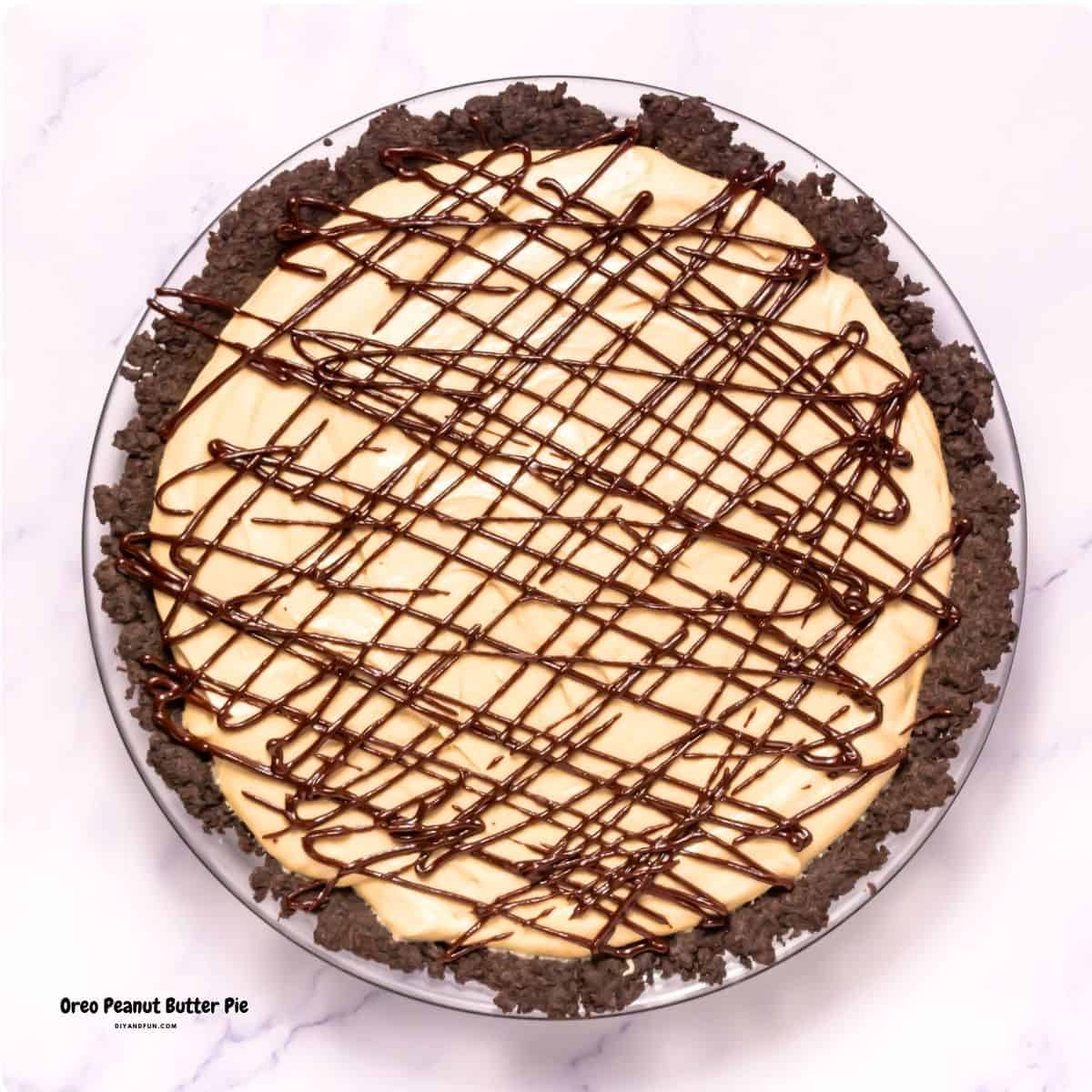The Best Oreo Peanut Butter Pie, an easy dessert recipe featuring a rich peanut butter filling on an Oreo cookie crust with melted chocolate. The Best Oreo Peanut Butter Pie, an easy dessert recipe featuring a rich peanut butter filling on an Oreo cookie crust with melted chocolate.