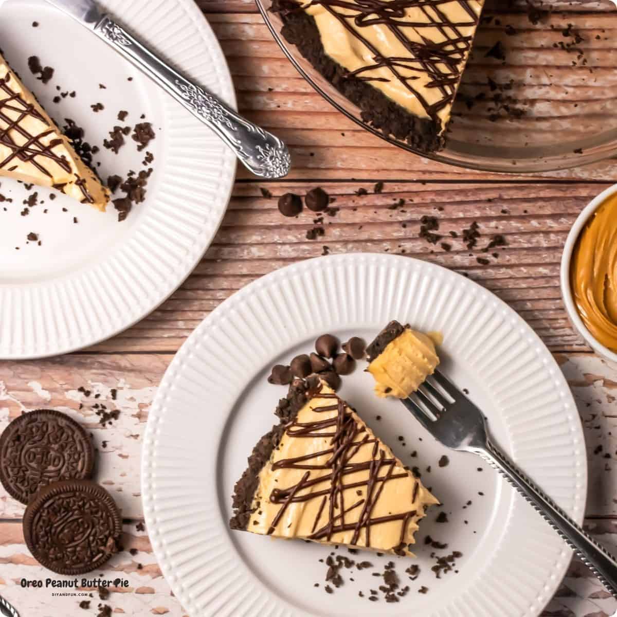 The Best Oreo Peanut Butter Pie, an easy dessert recipe featuring a rich peanut butter filling on an Oreo cookie crust with melted chocolate. The Best Oreo Peanut Butter Pie, an easy dessert recipe featuring a rich peanut butter filling on an Oreo cookie crust with melted chocolate.