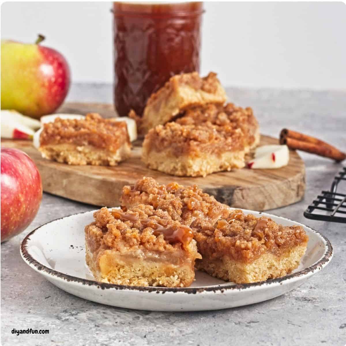 Easy Caramel Apple Tart with Streusel Topping a dairy-free fall dessert recipe made with apples tossed with cinnamon. Vegan, Vegetarian. Easy Caramel Apple Tart with Streusel Topping a dairy-free fall dessert recipe made with apples tossed with cinnamon. A cozy fall dessert!