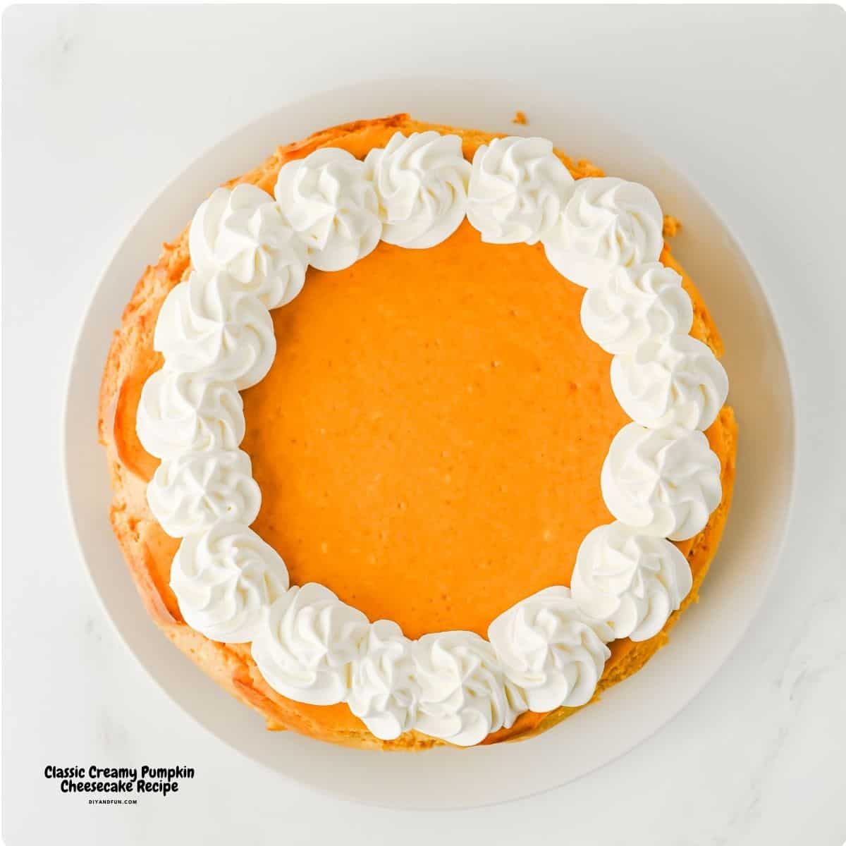 Classic creamy pumpkin cheesecake with a buttery graham cracker crust. The perfect holiday dessert for Thanksgiving and fall celebrations! Try it now. Classic creamy pumpkin cheesecake with a buttery graham cracker crust. The perfect holiday dessert for Thanksgiving and fall celebrations! Try it now.