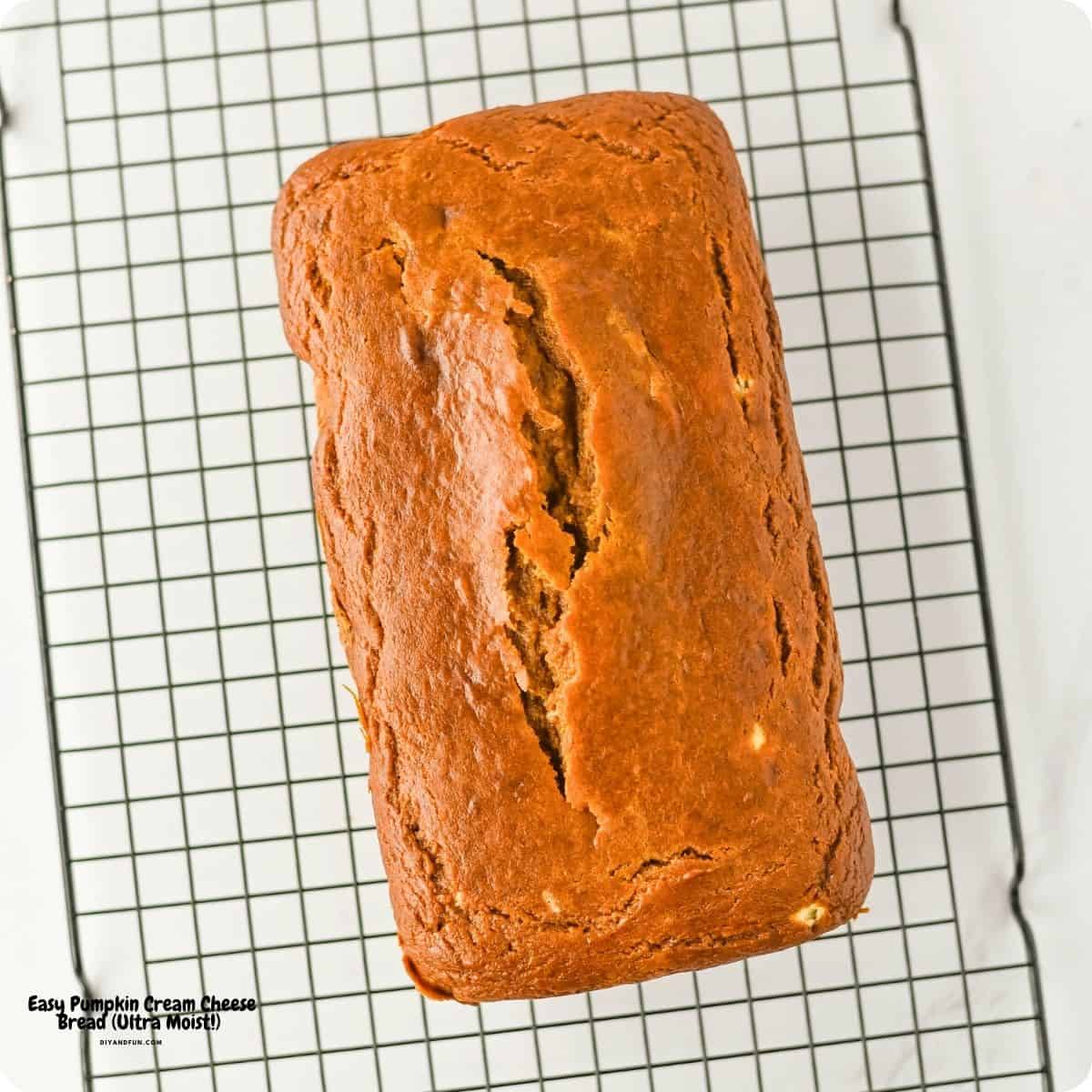 Easy Pumpkin Cream Cheese Bread is soft, moist, and packed with cozy fall flavors featuring pumpkin pie spice, and creamy cheesecake filling. Easy Pumpkin Cream Cheese Bread is soft, moist, and packed with cozy fall flavors featuring pumpkin pie spice, and creamy cheesecake filling