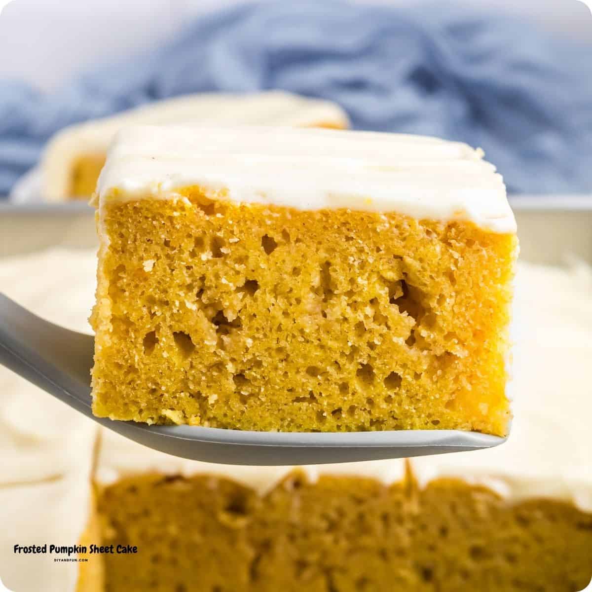 Frosted Pumpkin Sheet Cake, An easy fall dessert featuring a moist and fluffy cake topped with a rich cinnamon cream cheese frosting. Frosted Pumpkin Sheet Cake, An easy fall dessert featuring a moist and fluffy cake topped with a rich cinnamon cream cheese frosting,