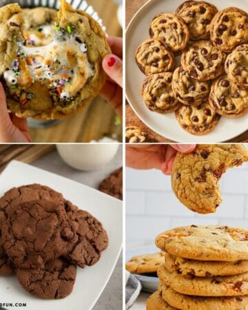 Best Chocolate Chip Cookie Recipes