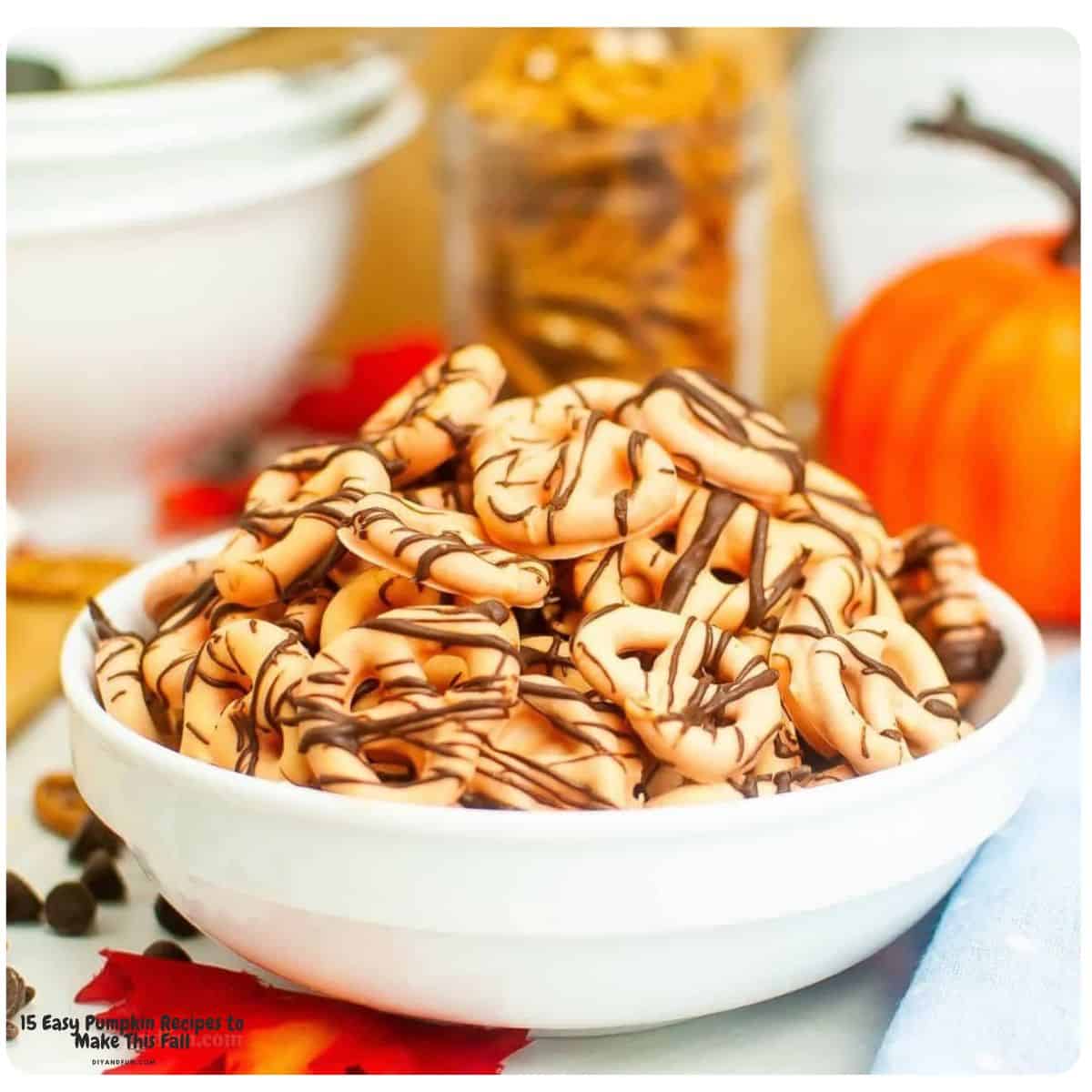 15 easy pumpkin recipes for fall, including moist cakes, muffins, creamy cheesecakes, no-bake treats, and other delicious pumpkin favorites. 15 easy pumpkin recipes for fall, including moist cakes, muffins, creamy cheesecakes, no-bake treats, and other delicious pumpkin favorites.